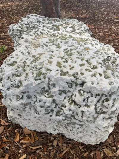 A piece of Limestone rock used for decoration in a Landscape